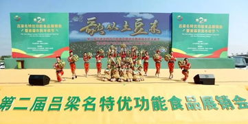 岚县土豆香飘汾州 特色产品推介与民俗文化展演共庆丰收